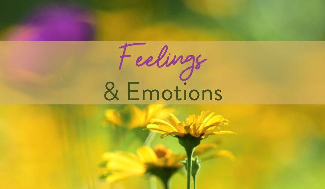 Feelings or Emotions?